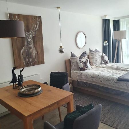 Maurers Schlierseetraum 6, Studio 455 Mit 42 Qm Neu Renoviert, Erdgeschoss Mit Eingezaeunter Terrasse In Ruhiger Lage Am Kirchbichlweg 8 Esterno foto