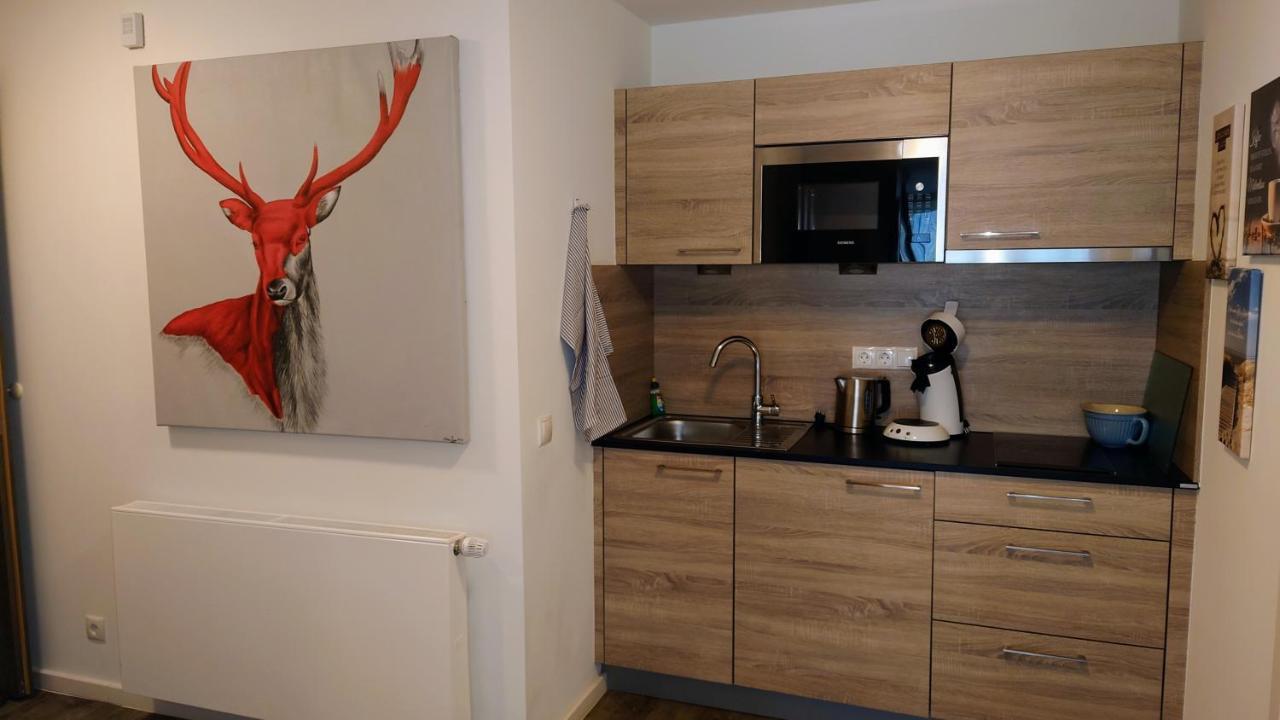 Maurers Schlierseetraum 6, Studio 455 Mit 42 Qm Neu Renoviert, Erdgeschoss Mit Eingezaeunter Terrasse In Ruhiger Lage Am Kirchbichlweg 8 Esterno foto