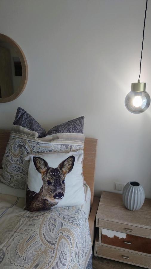 Maurers Schlierseetraum 6, Studio 455 Mit 42 Qm Neu Renoviert, Erdgeschoss Mit Eingezaeunter Terrasse In Ruhiger Lage Am Kirchbichlweg 8 Esterno foto