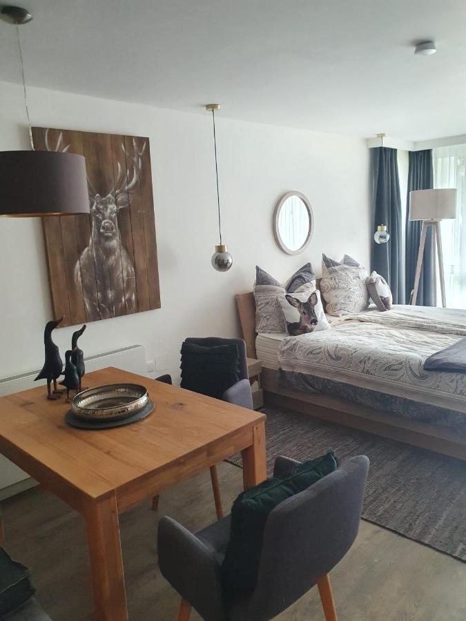 Maurers Schlierseetraum 6, Studio 455 Mit 42 Qm Neu Renoviert, Erdgeschoss Mit Eingezaeunter Terrasse In Ruhiger Lage Am Kirchbichlweg 8 Esterno foto